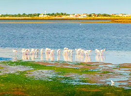 Baixa da Banheira Margem Sul
