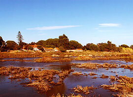 Gambia pontes alto da guerra na margem sul