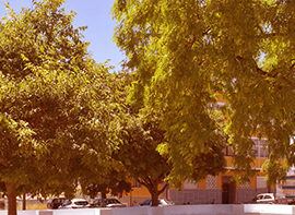 Laranjeiro na Margem Sul