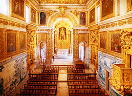 Verderena margem Sul